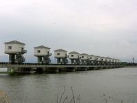 kata02.jpg