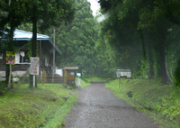 shishigahana.jpg
